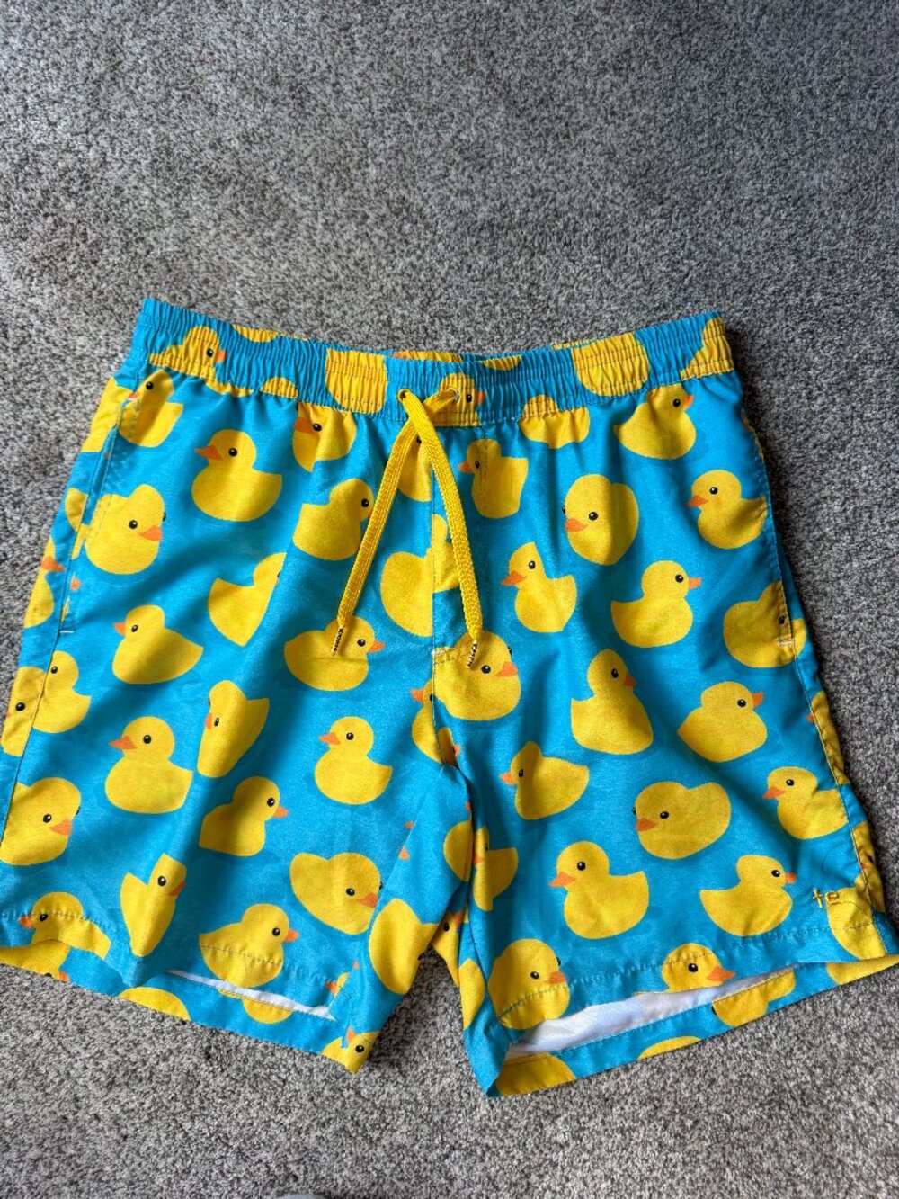 Men's Swim